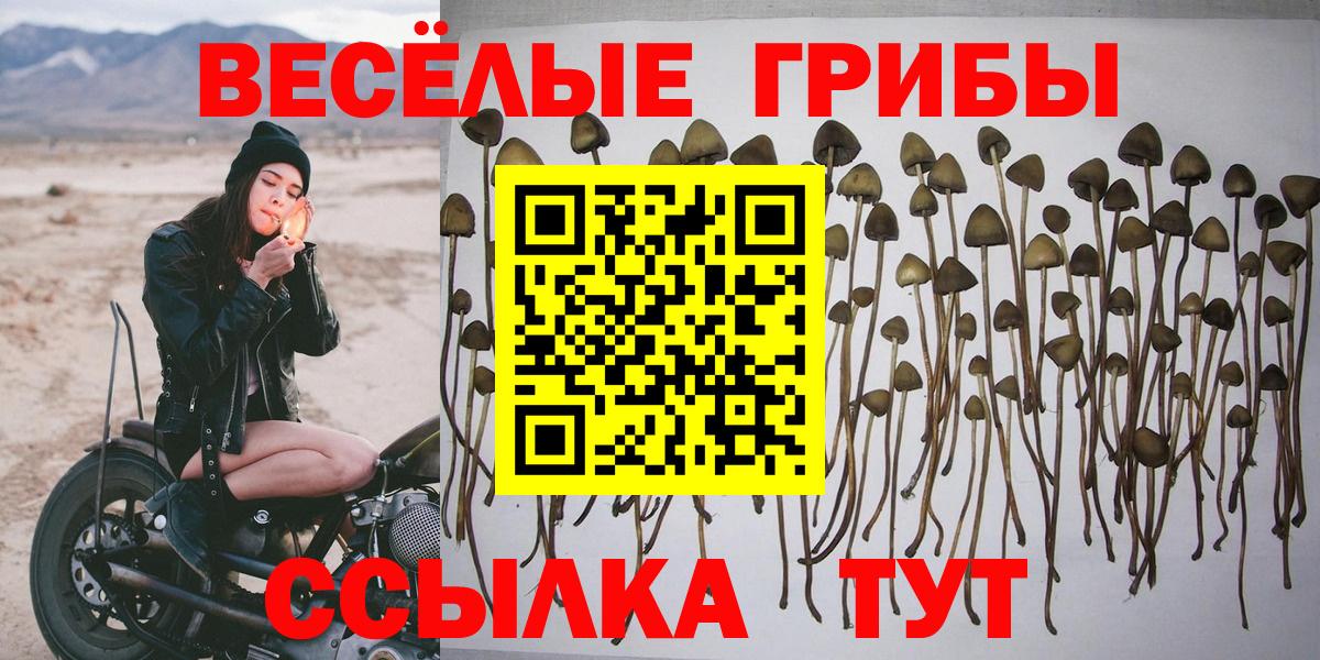 Галлюциногенные грибы MAGIC MUSHROOMS Ханты-Мансийск